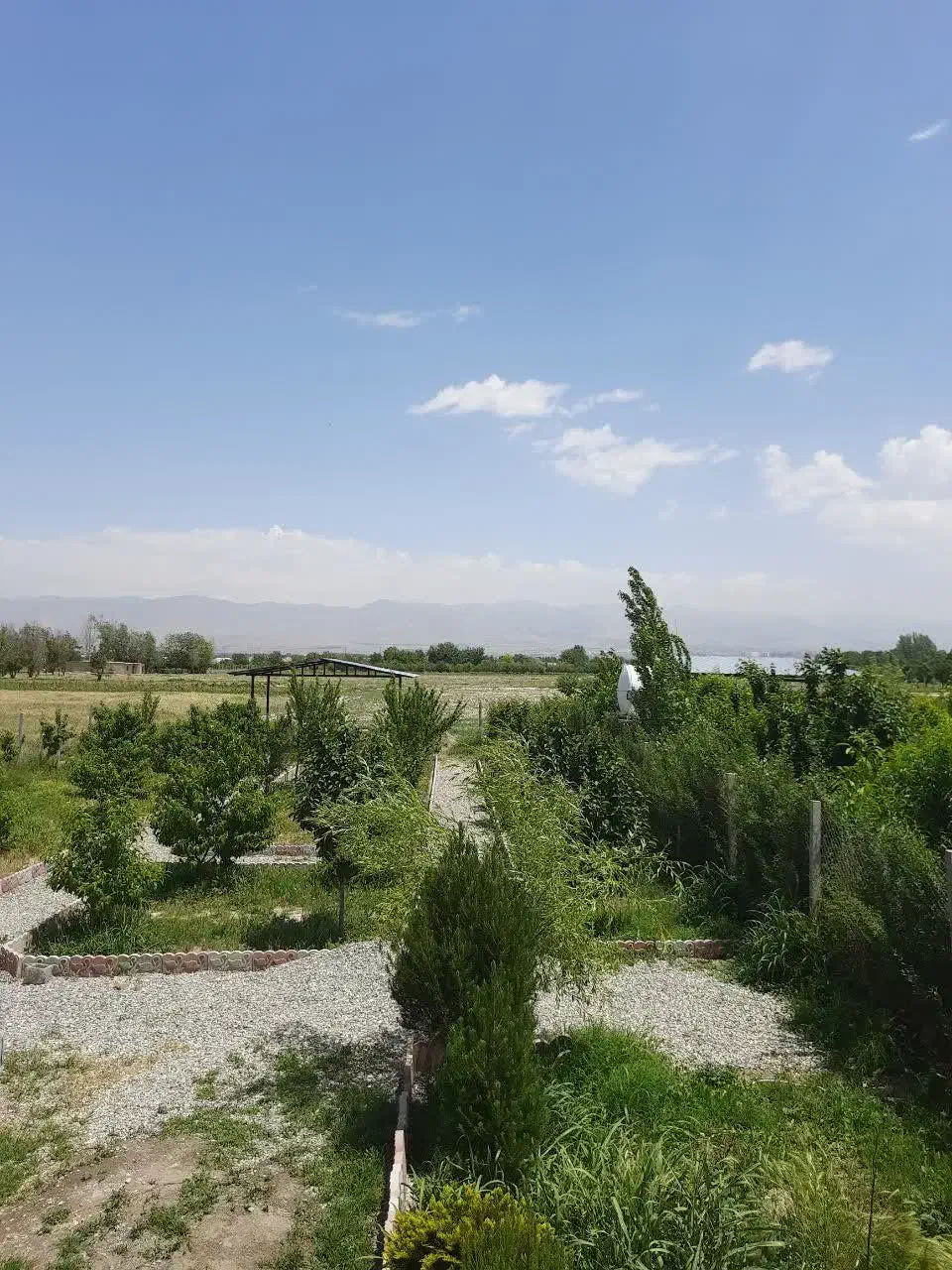 باغچه کاسبی کاسبی در بختیار فوری|فروش زمین و ملک کلنگی|تنکمان, |دیوار