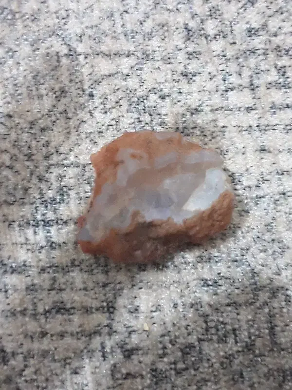 شجر|کلکسیون اشیاء عتیقه|کرج, حصارک پایین|دیوار