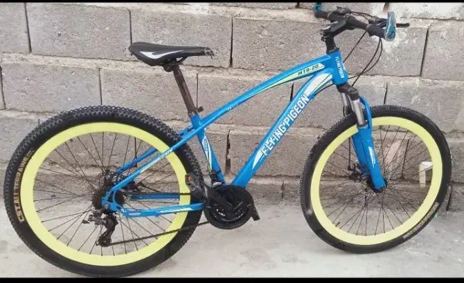 دوچرخه26دنده ای|دوچرخه، اسکیت، اسکوتر|سندرک, |دیوار