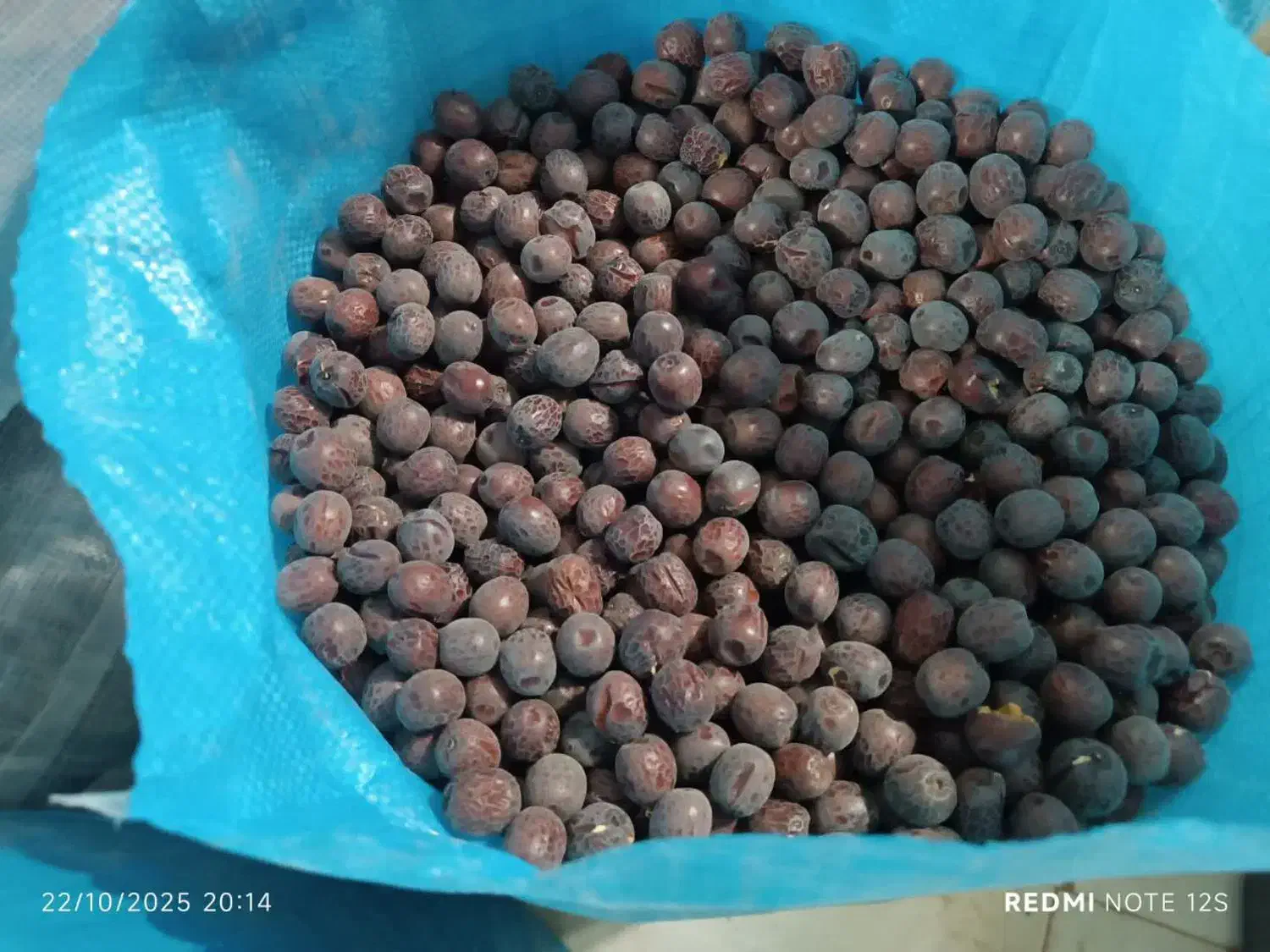 عناب و حبه|خوردنی و آشامیدنی|مشهد, ولیعصر (شهرک غرب)|دیوار