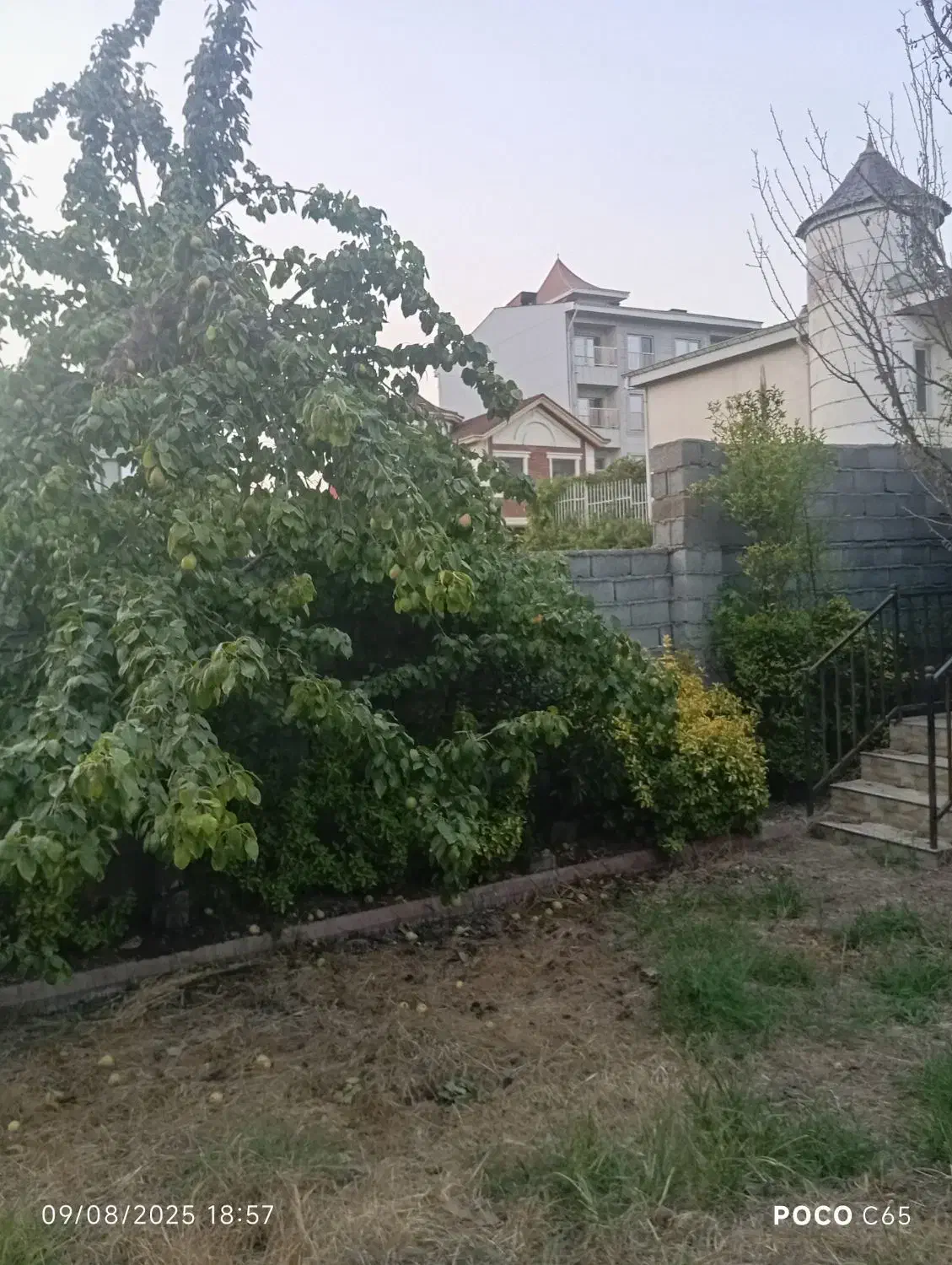 فروش زمین مسکونی قواره دو ساحل چمخاله|فروش زمین و ملک کلنگی|چاف و چمخاله, |دیوار