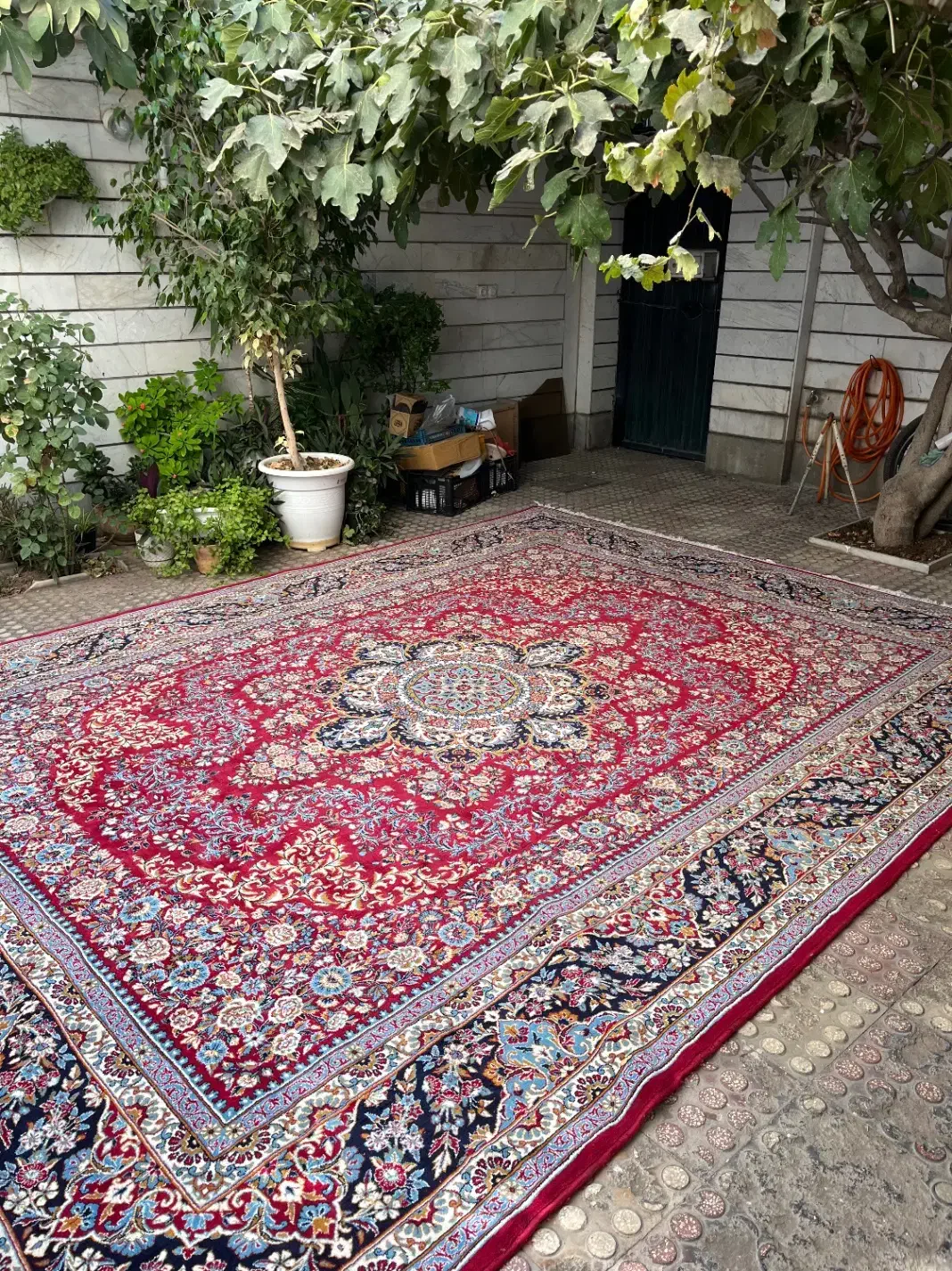 فرش ۱۲ متری|فرش|قزوین, |دیوار