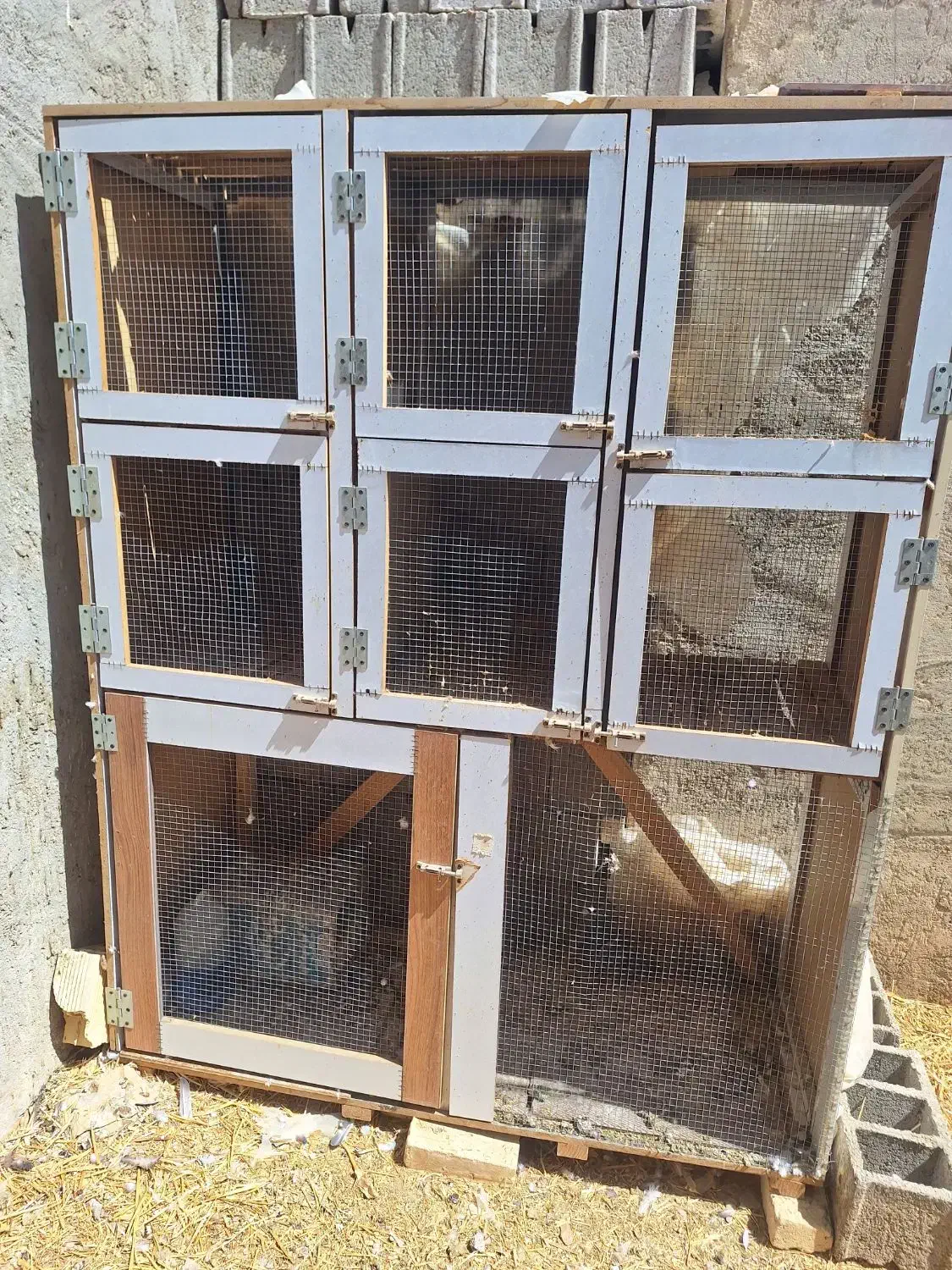 قفس جفت کن کبوتر|لوازم جانبی حیوانات|اصفهان, ارغوانیه|دیوار