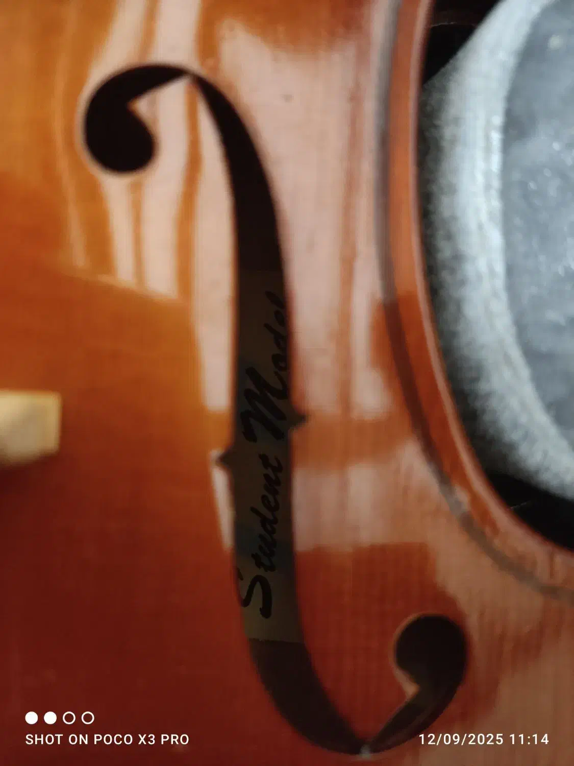 ویولن 4/4 استیودنت/student/violon|ویولن|مرودشت, ولایت|دیوار