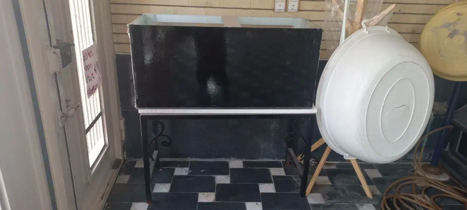 آکواریوم|ماهی|کاشان, قطب راوندی|دیوار