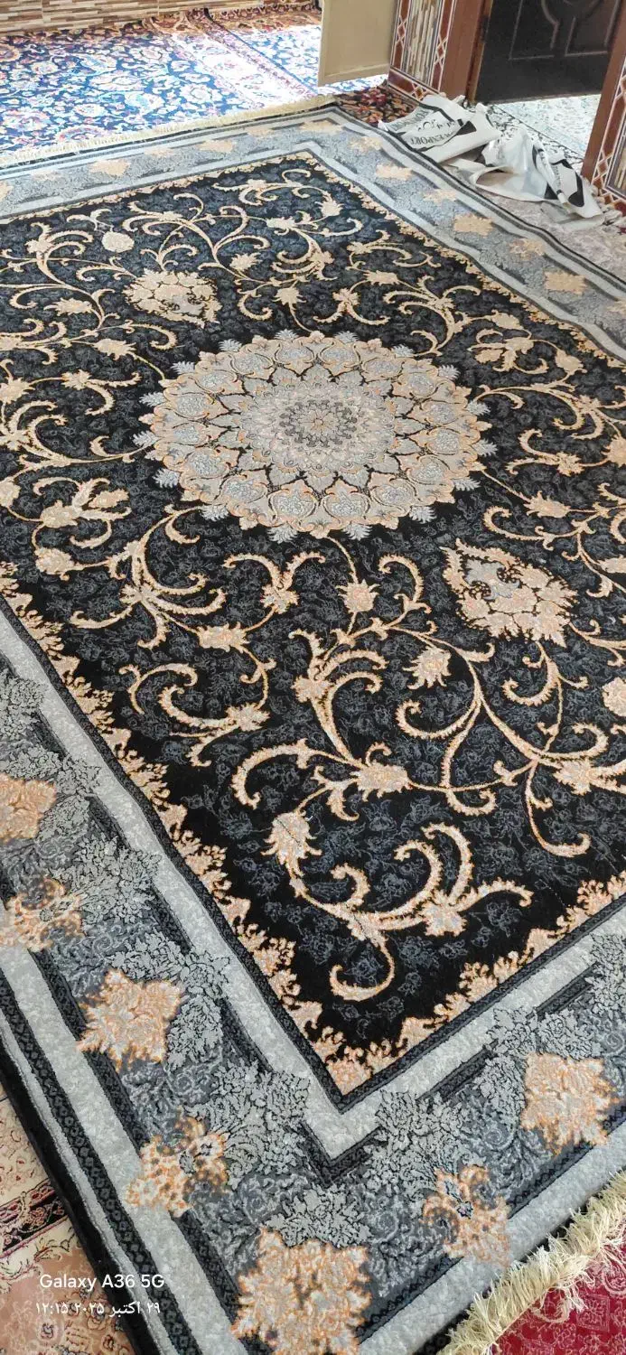 تعدادی فرش ۱۲متری درحد نو موجود|فرش|یاسوج, |دیوار