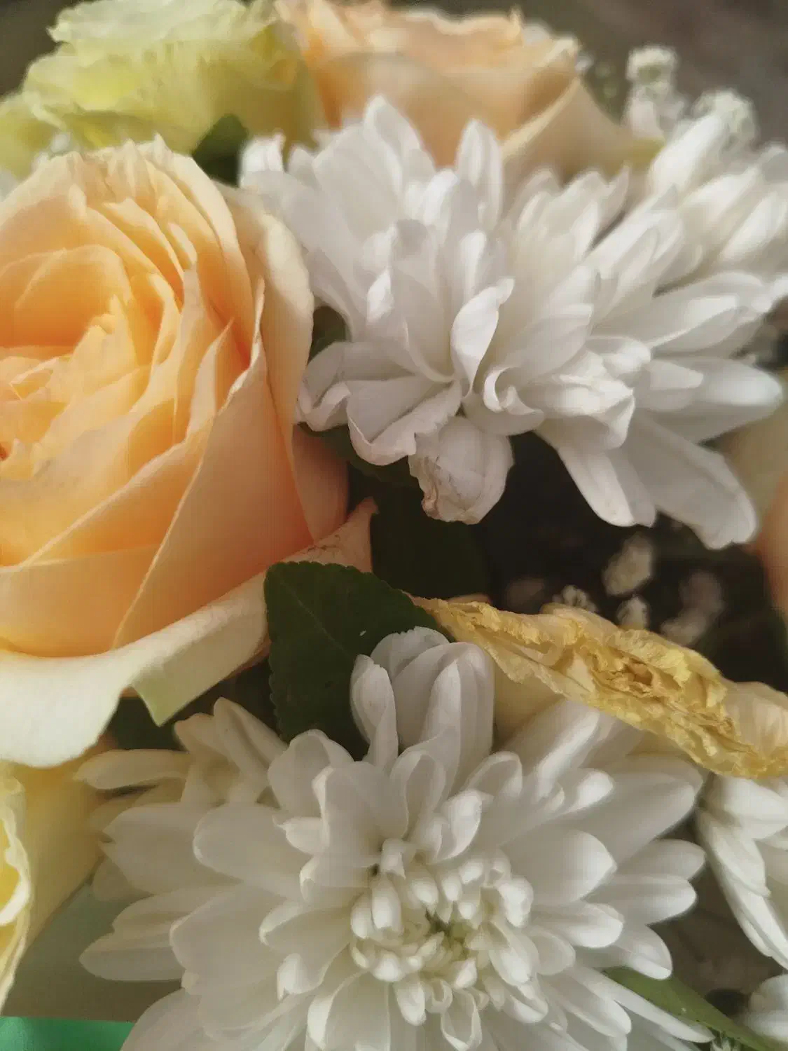 کارگر کارتن سازی|استخدام صنعتی، فنی، مهندسی|شاندیز, |دیوار