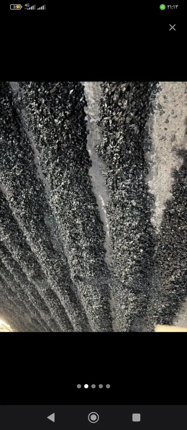 کربن پوست پسته|عمدهفروشی|تهران, آبشار|دیوار