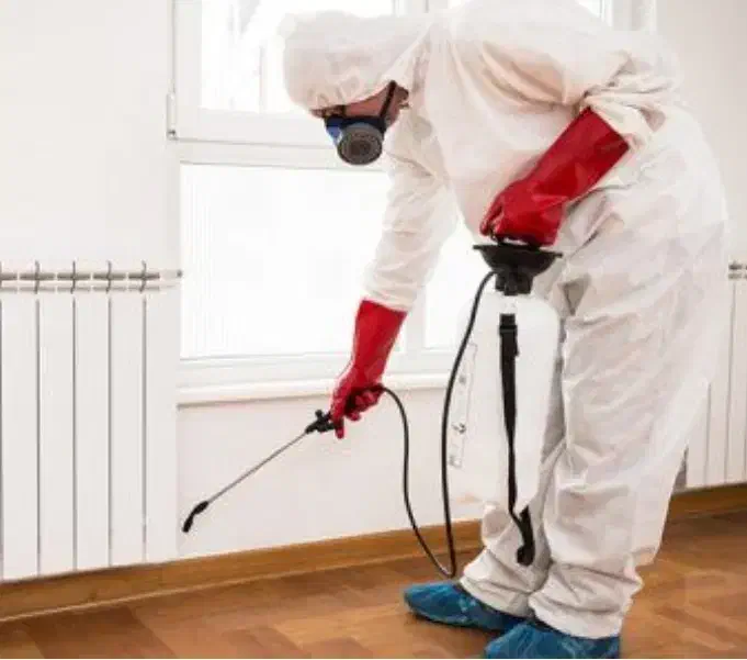 سمپاشی منزل سم پاشی،ازبین بردن حشرات مزاحم|خدمات نظافت|همدان, |دیوار