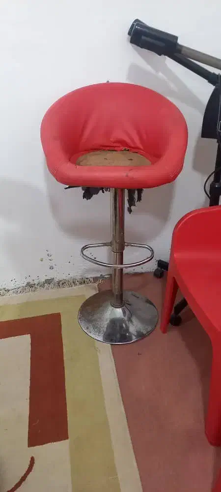 وسایل آرایشگاه|آرایشگاه و سالنهای زیبایی|دیلم, |دیوار