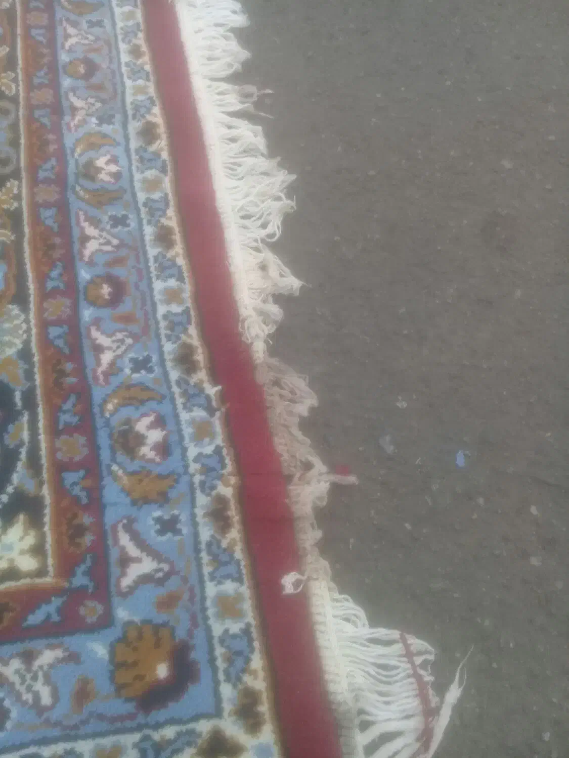 فرش کهنه برا باغ|فرش|ارومیه, |دیوار