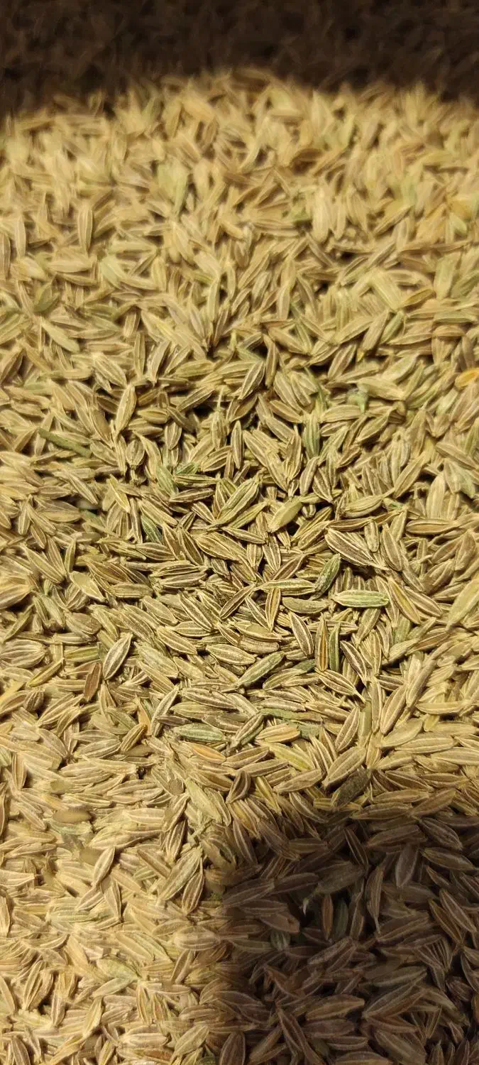 خرید و فروش زیره سبز کرابیه|خوردنی و آشامیدنی|مشهد, نوید|دیوار