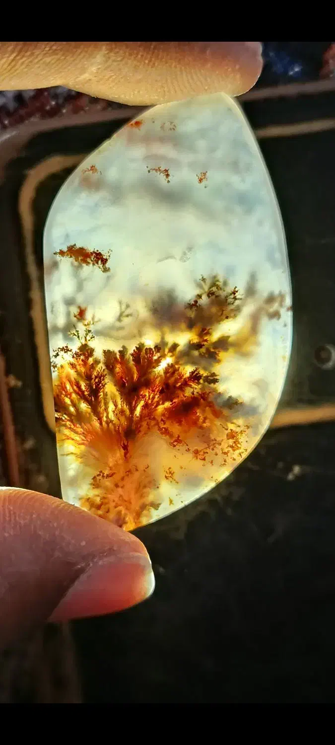 شجر منظره|کلکسیون اشیاء عتیقه|فردوس (خراسان), |دیوار