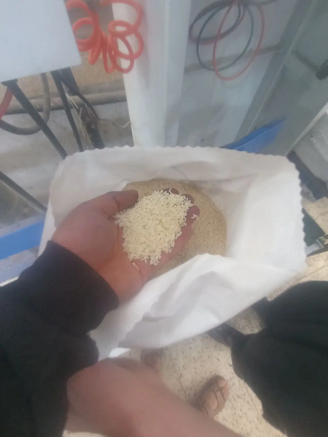 برنج|خوردنی و آشامیدنی|تبریز, |دیوار