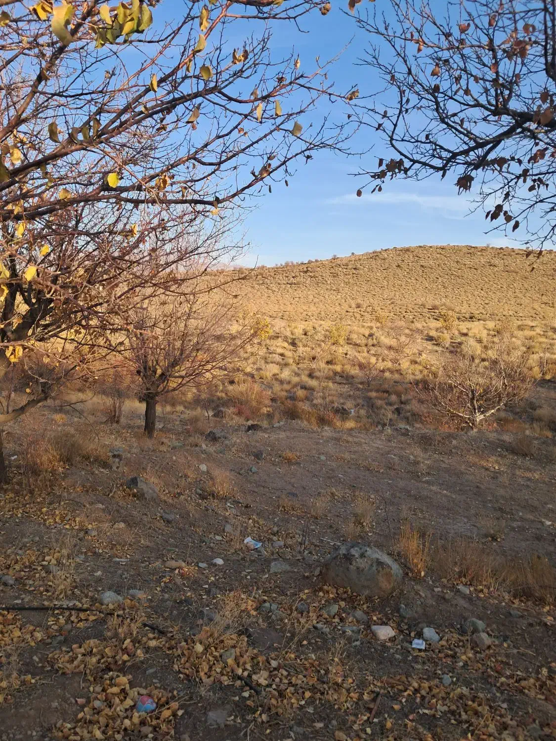 ۱۵ قصب زمین فروشی در حوزه سربیژن ساردو|فروش زمین و ملک کلنگی|درب بهشت, |دیوار