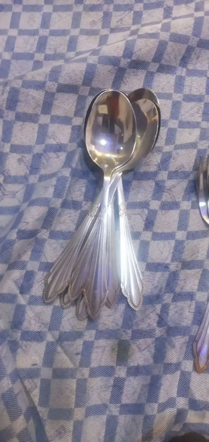 ۱۶عدد چنگال یک مدل و۱۰ عدد قاشق یک مدل|ظروف سرو و پذیرایی|ساوه, |دیوار