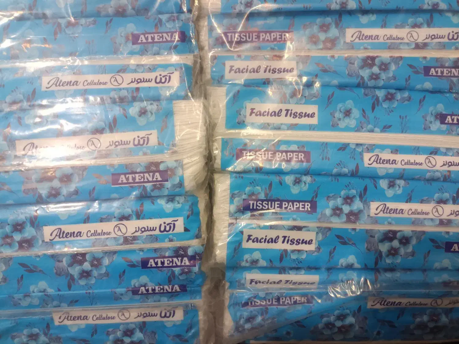 دستمال کاغذی|مواد شوینده و دستمال کاغذی|شاهینشهر, گزبرخوار|دیوار