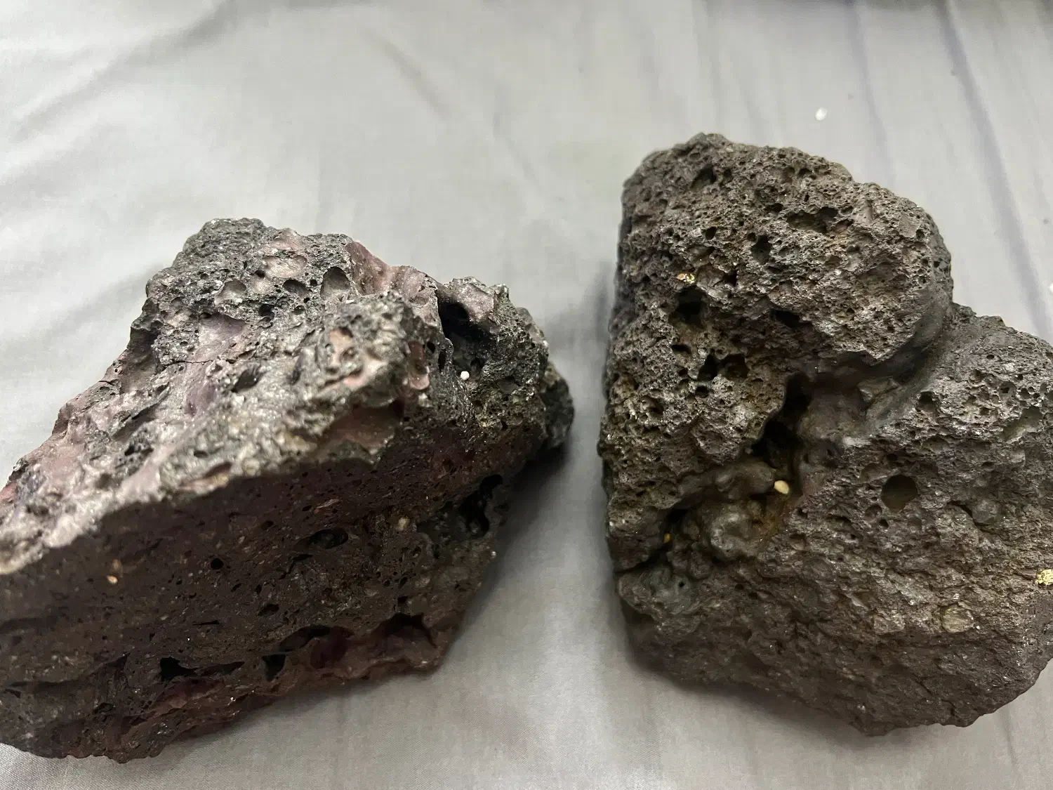 درختچه وسنگ بزرگ مشکی|ماهی|لاهیجان, شیشه گران|دیوار