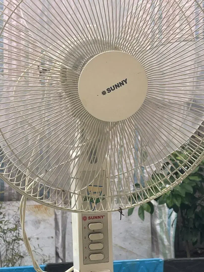 پنکه سانی|پنکه و تصفیهکنندهٔ هوا|بندر انزلی, کلیور|دیوار