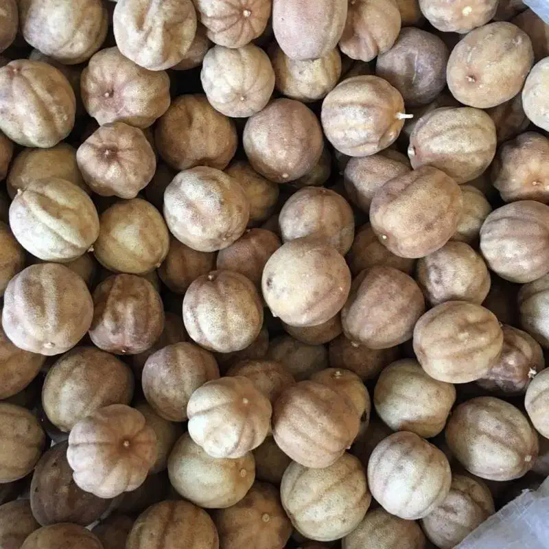 لیمو خشک|خوردنی و آشامیدنی|جهرم, |دیوار