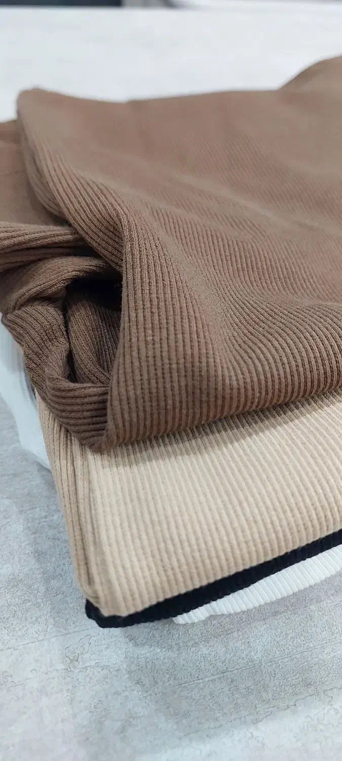 کراپ‌تآستین دار مخصوص پاییز|لباس|قدس, شهر‌قدس|دیوار