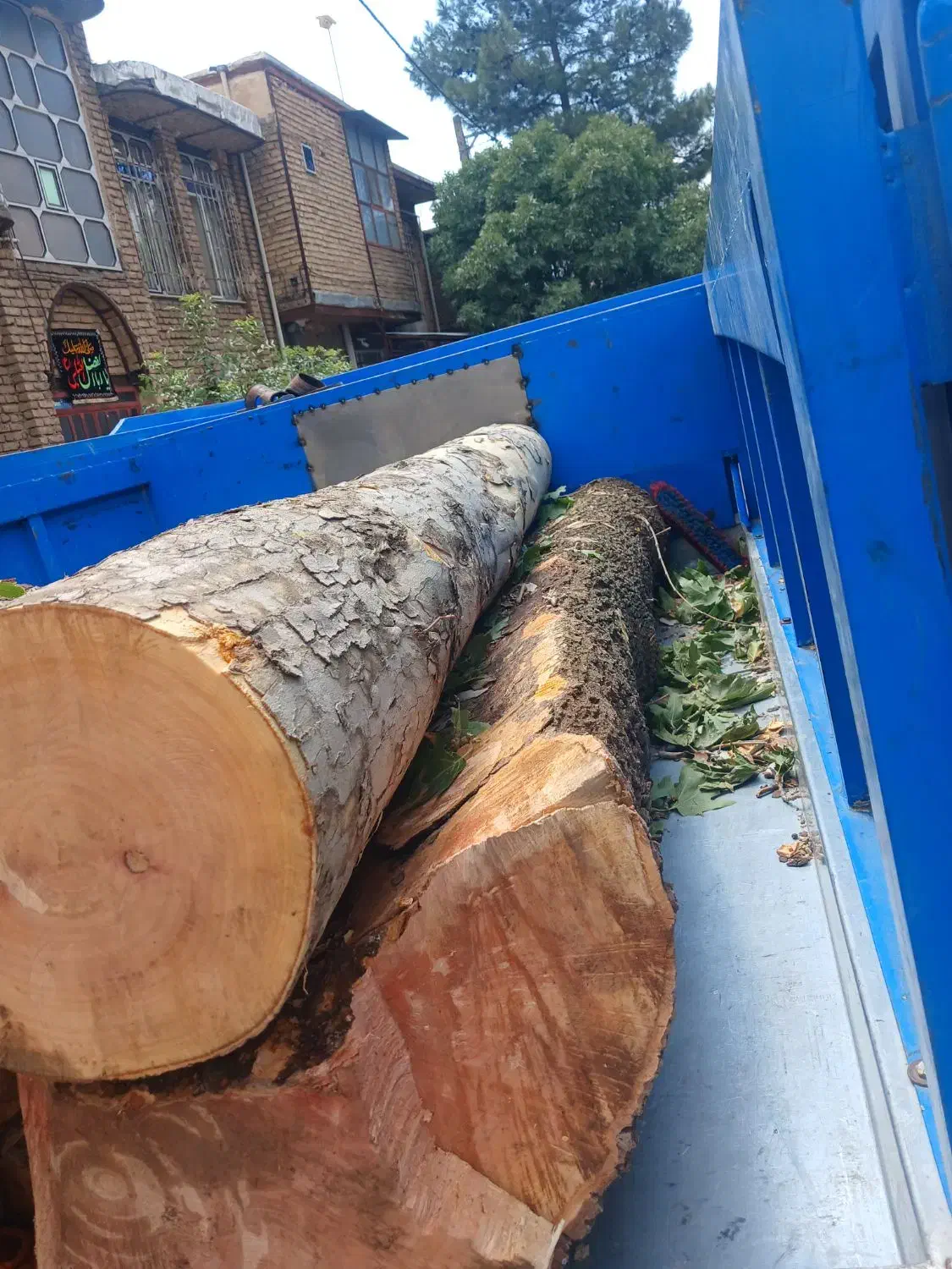 چوب ودرخت|خدمات باغبانی و درختکاری|کرمانشاه, |دیوار