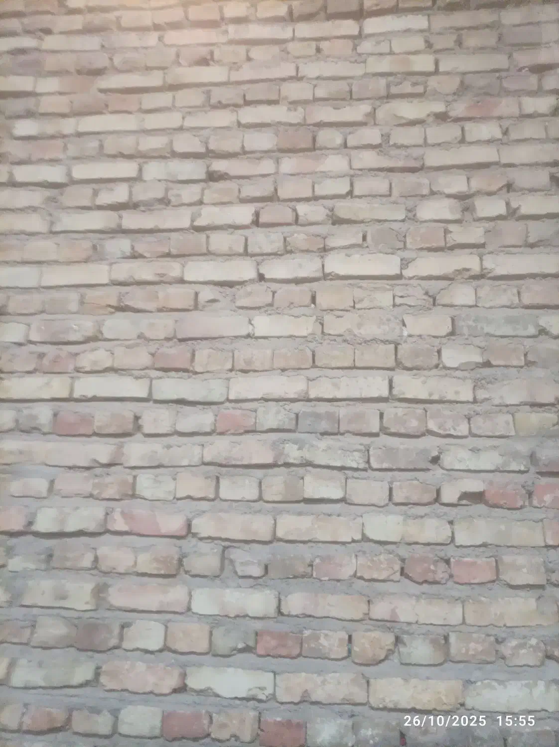 استا بنا|خدمات پیشه و مهارت|زاهدان, |دیوار