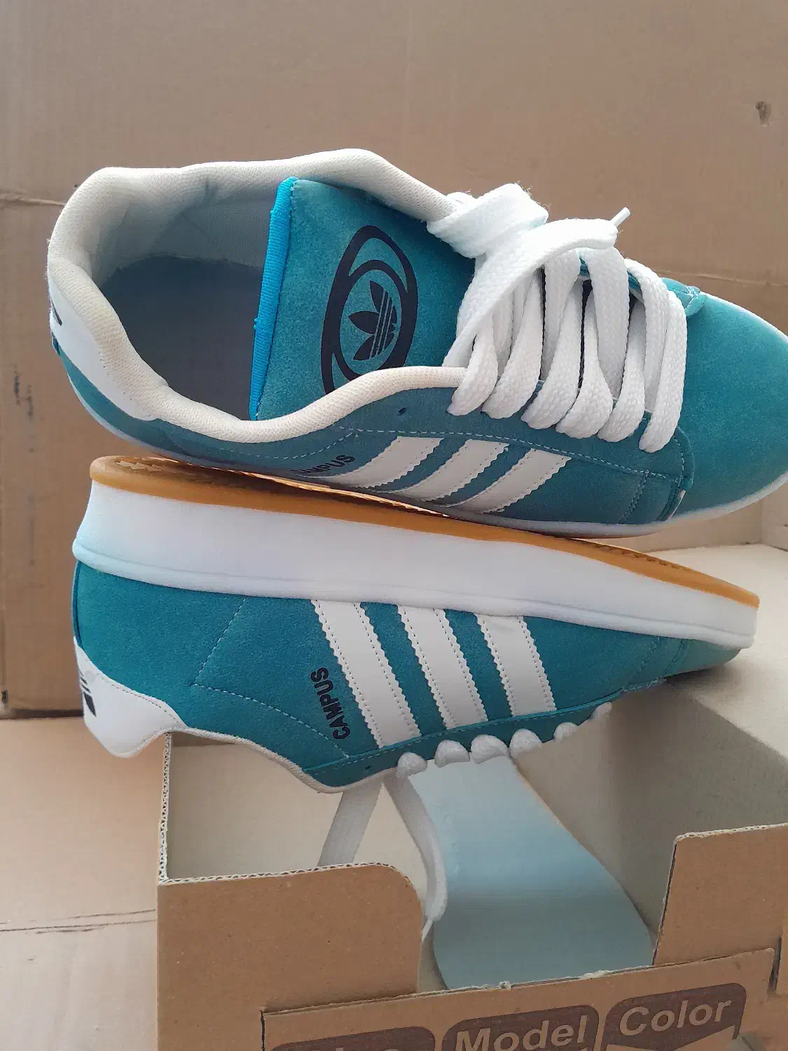 کفش کامپوس مردانه|کیف، کفش، کمربند|مراغه, |دیوار