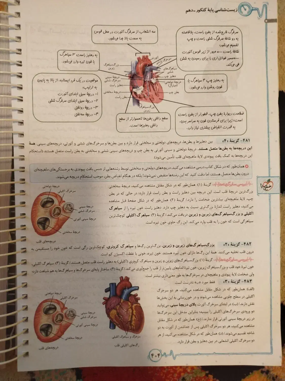 کتاب تست زیست شناسی خیلی سبز جامع دهم و یازدهم|کتاب و مجله آموزشی|تهران, آزادشهر|دیوار
