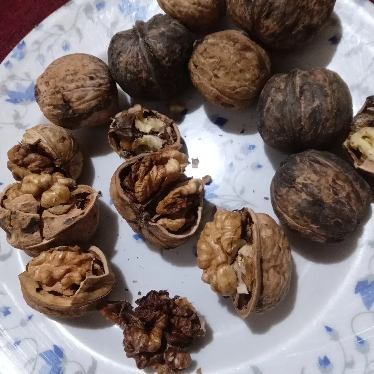 فروش گردو|خوردنی و آشامیدنی|درگز, |دیوار