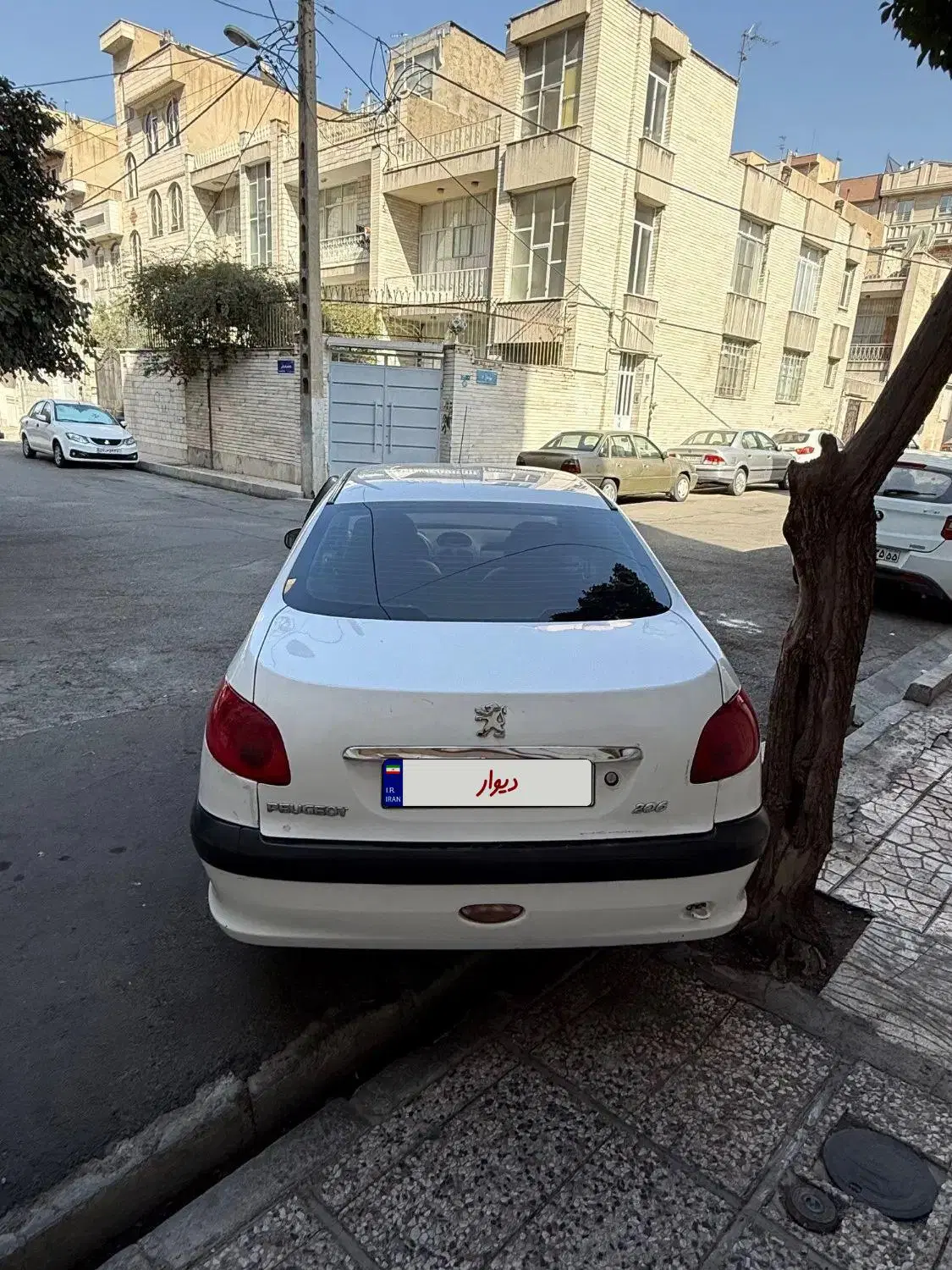 206sd v20|خودرو سواری و وانت|تهران, پرستار|دیوار