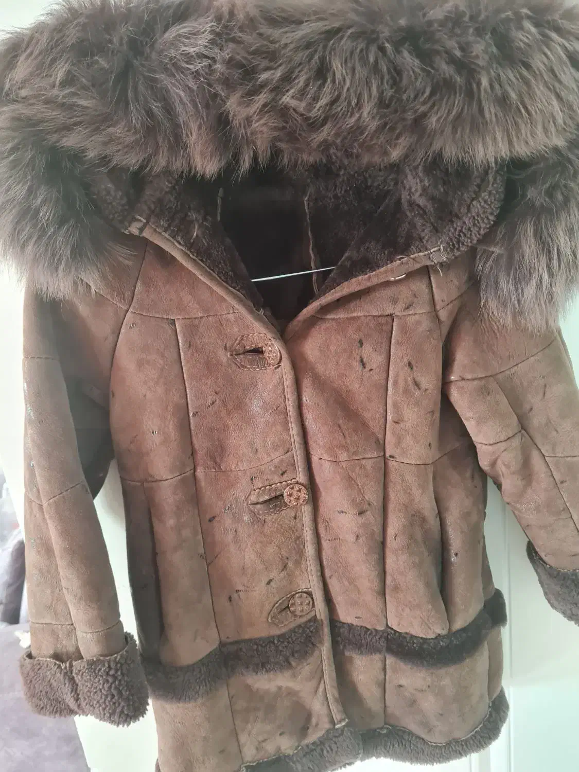 پالتو بوفالو|لباس|مشهد, سجادیه|دیوار