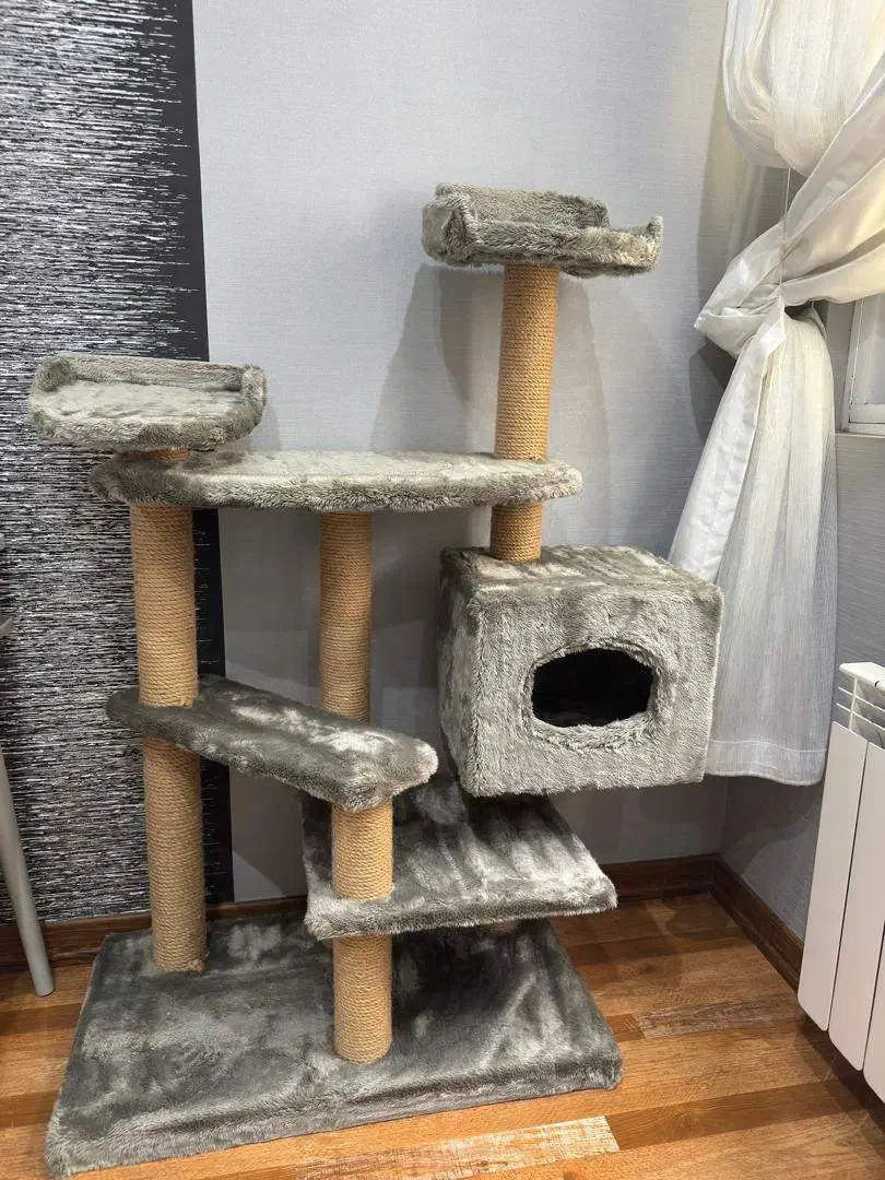 اسکرچر گربه|لوازم جانبی حیوانات|رشت, گلسار|دیوار