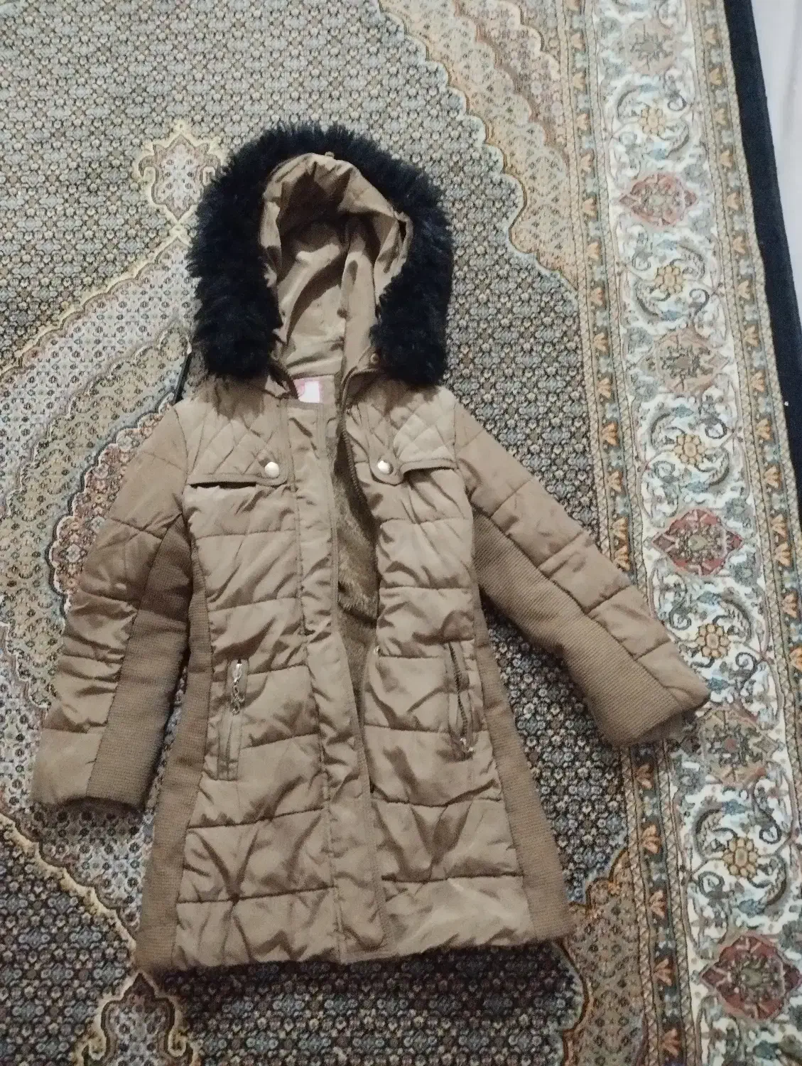 کاپشن|کفش و لباس بچه|اردبیل, |دیوار