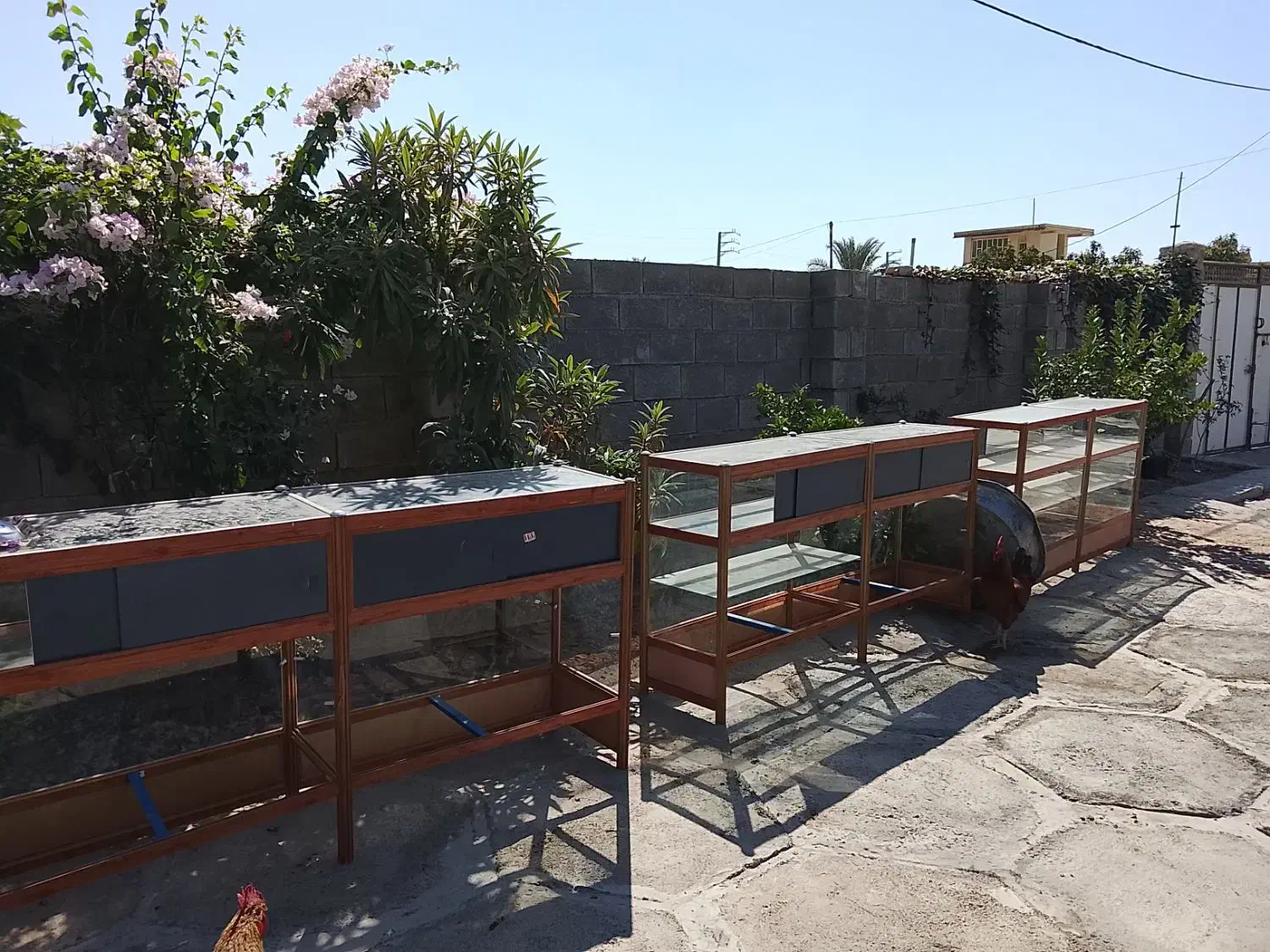 ویترین آلومینیومی فرساندویچ دستگا ذرت مکزیکی یخچال|فروشگاه و مغازه|کازرون, |دیوار