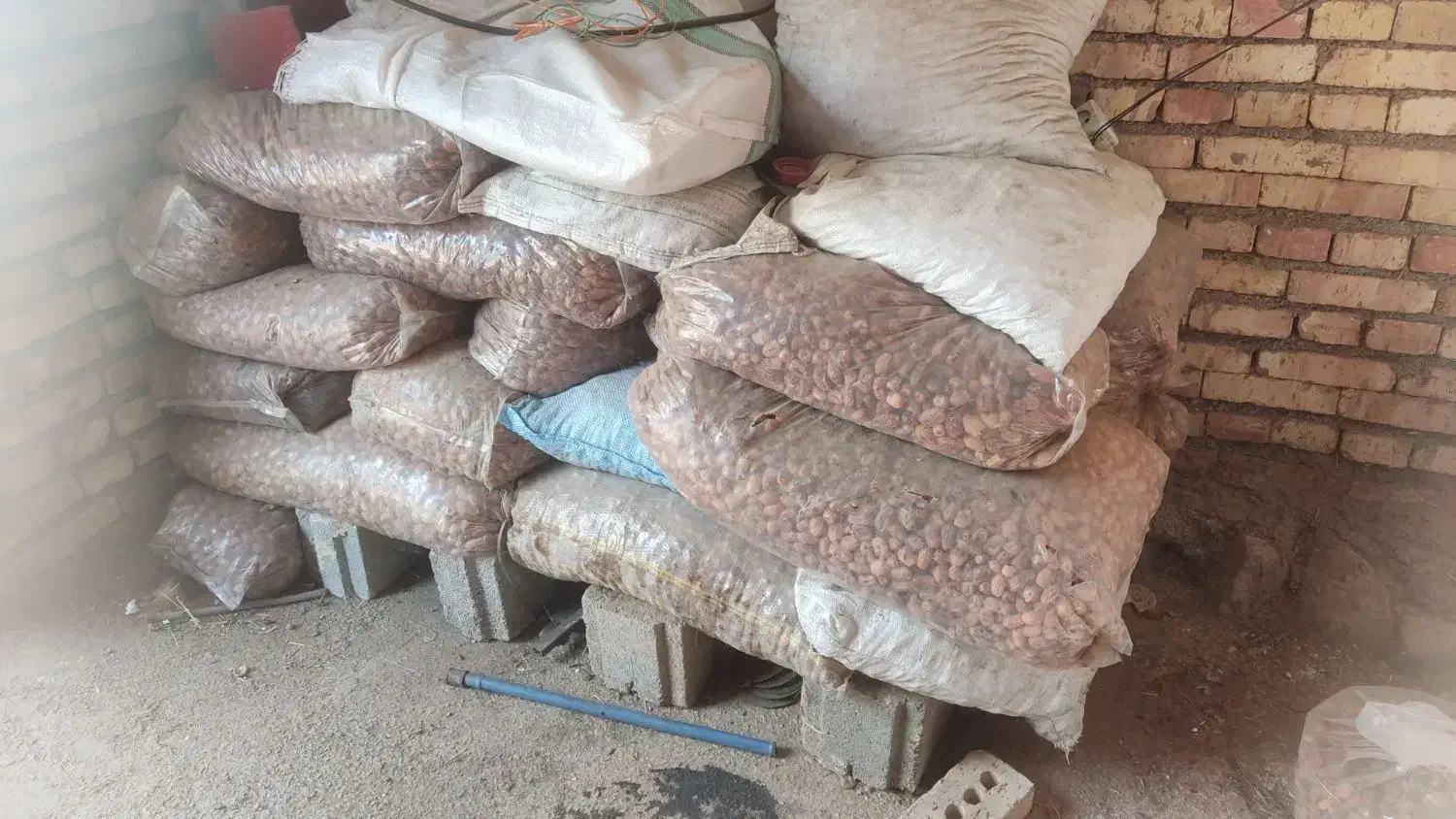 خرما ضایعات زاهدی|خوردنی و آشامیدنی|صوفیان, |دیوار