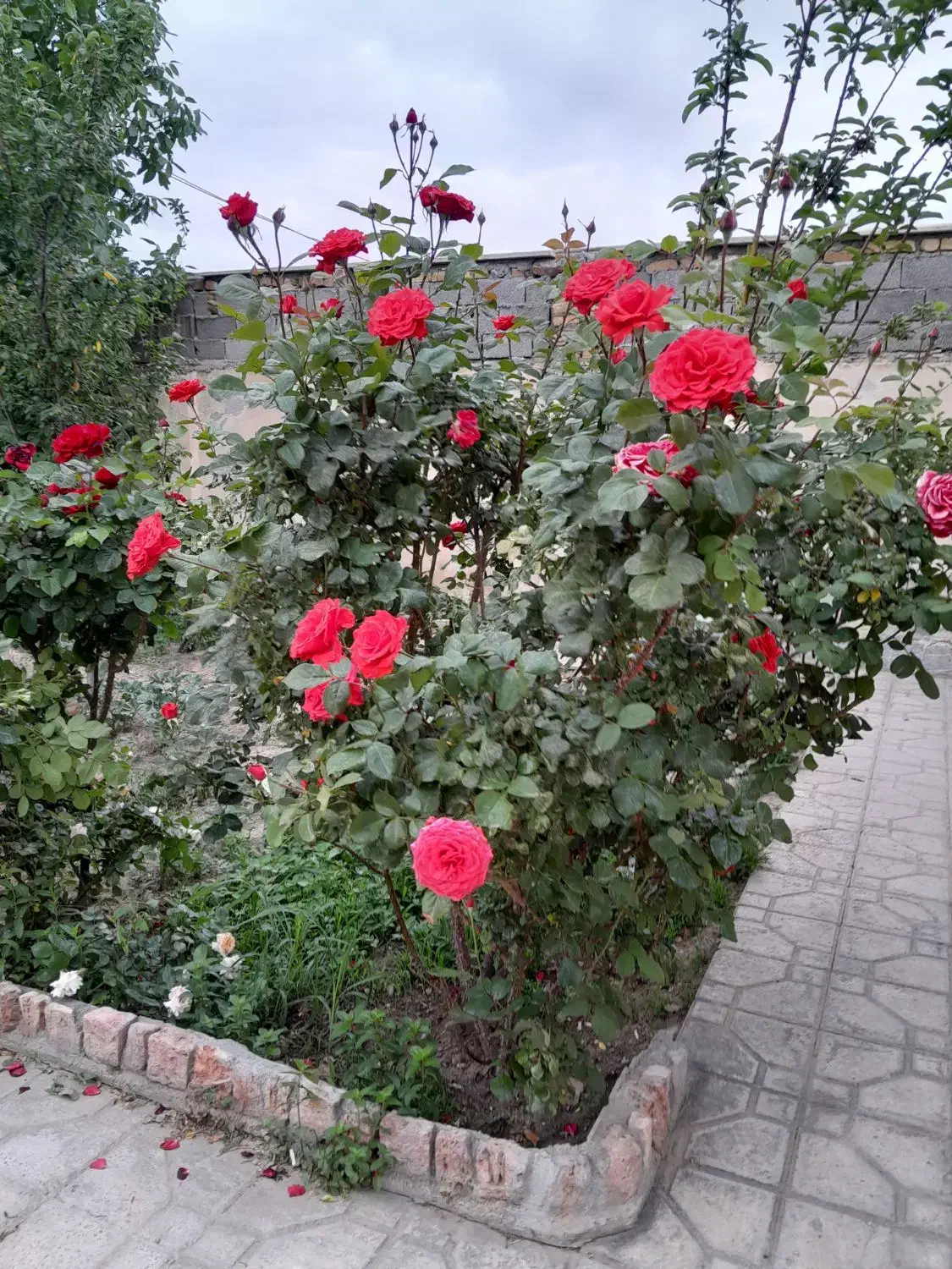 استخدام نیروی کمکی درمنزل شهرستان شهربابک|استخدام سرایداری و نظافت|شهر بابک, |دیوار