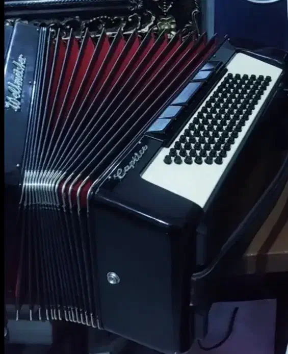 آکاردیون|پیانو، کیبورد، آکاردئون|مشهد, شهرک رازی (شهرک غرب)|دیوار