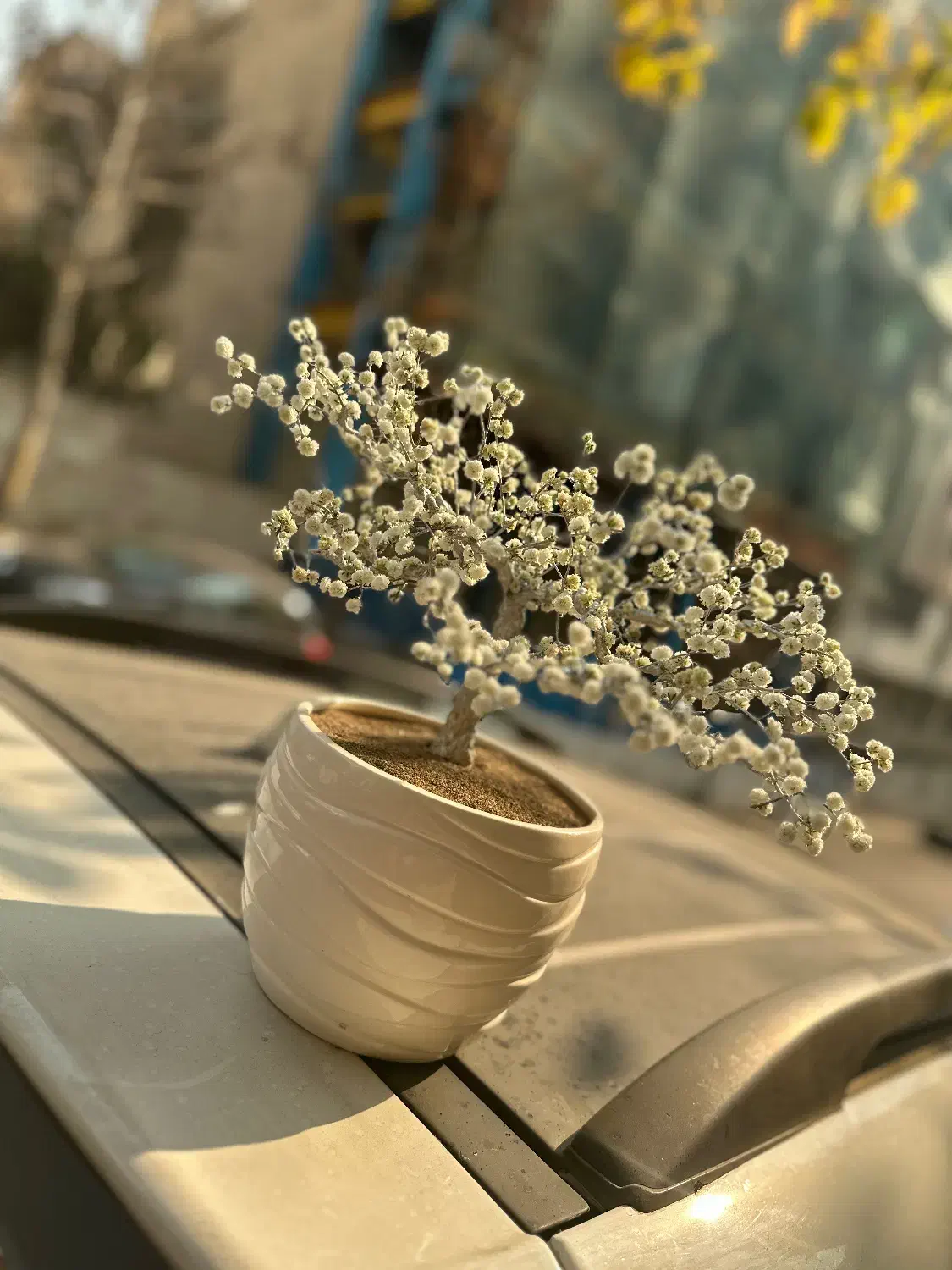 تزئینی منزل|مجسمه، تندیس، ماکت|تهران, کاشانک|دیوار