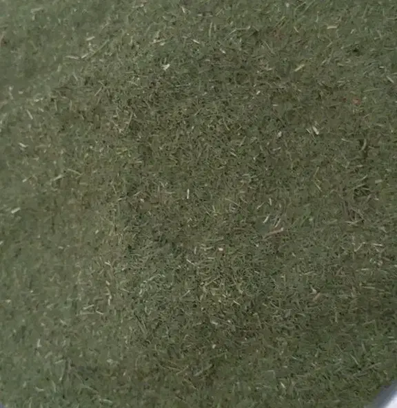 شوید خشک|خوردنی و آشامیدنی|معمولان, |دیوار