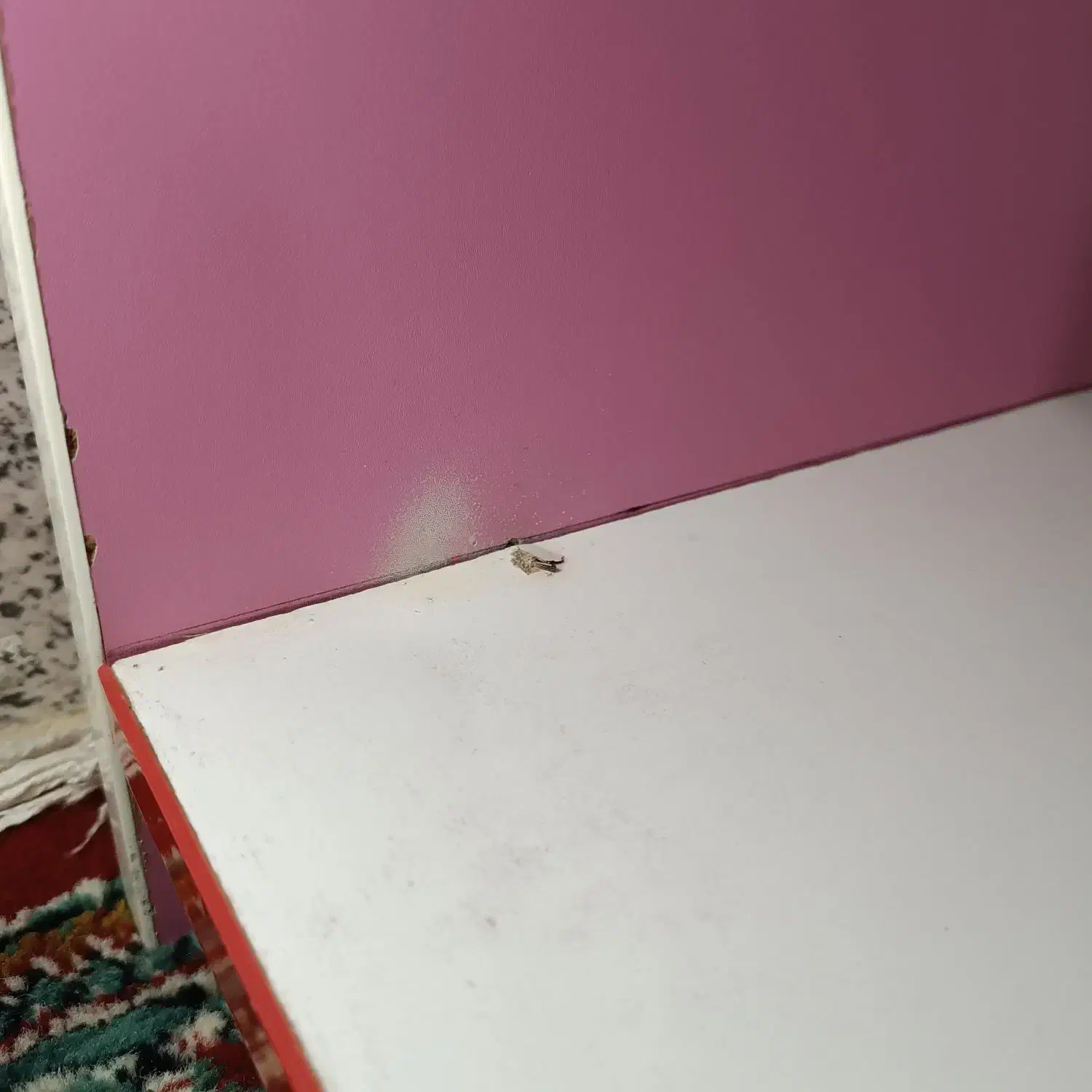 میز کامپیوتر-تحریر|میز تحریر و کامپیوتر|سبزوار, گلشن|دیوار