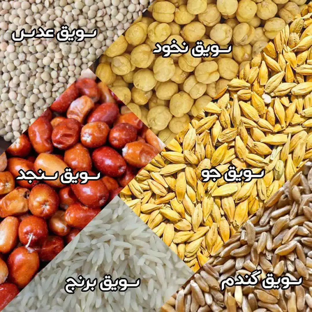 انواع سویق|خوردنی و آشامیدنی|میاندوآب, |دیوار