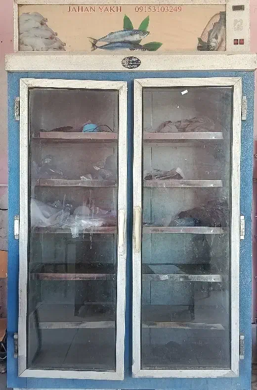 یخچال فریزر دو در|یخچال و فریزر|سیب و سوران, |دیوار