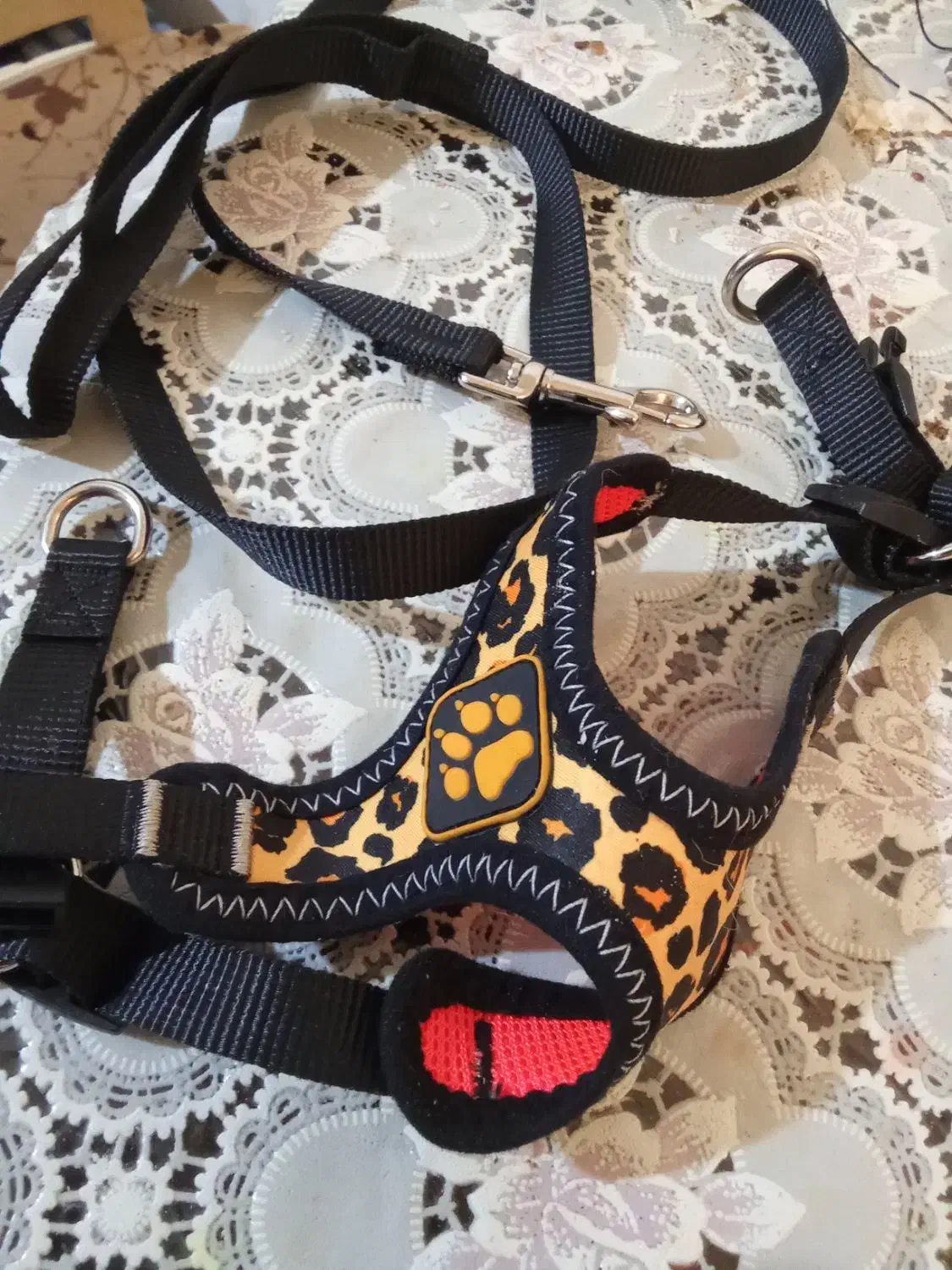 قلاده سگ پاکوتاه|لوازم جانبی حیوانات|تبریز, |دیوار