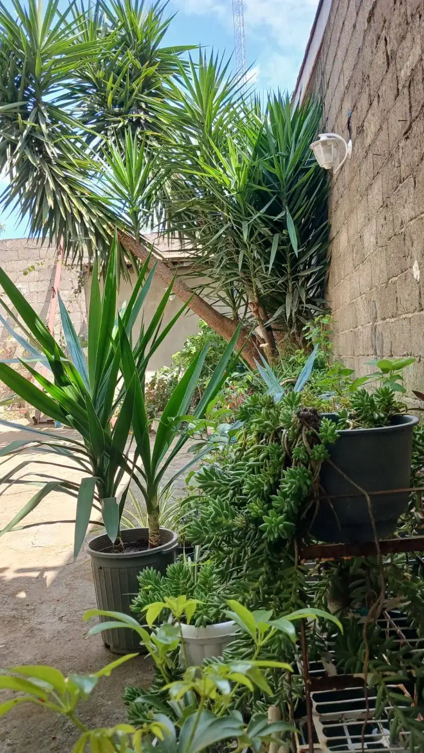 سوئیت مبله فول درفومن اجاره ماهانه دانشجو کارمند|اجارهٔ خانه و ویلا|فومن, |دیوار