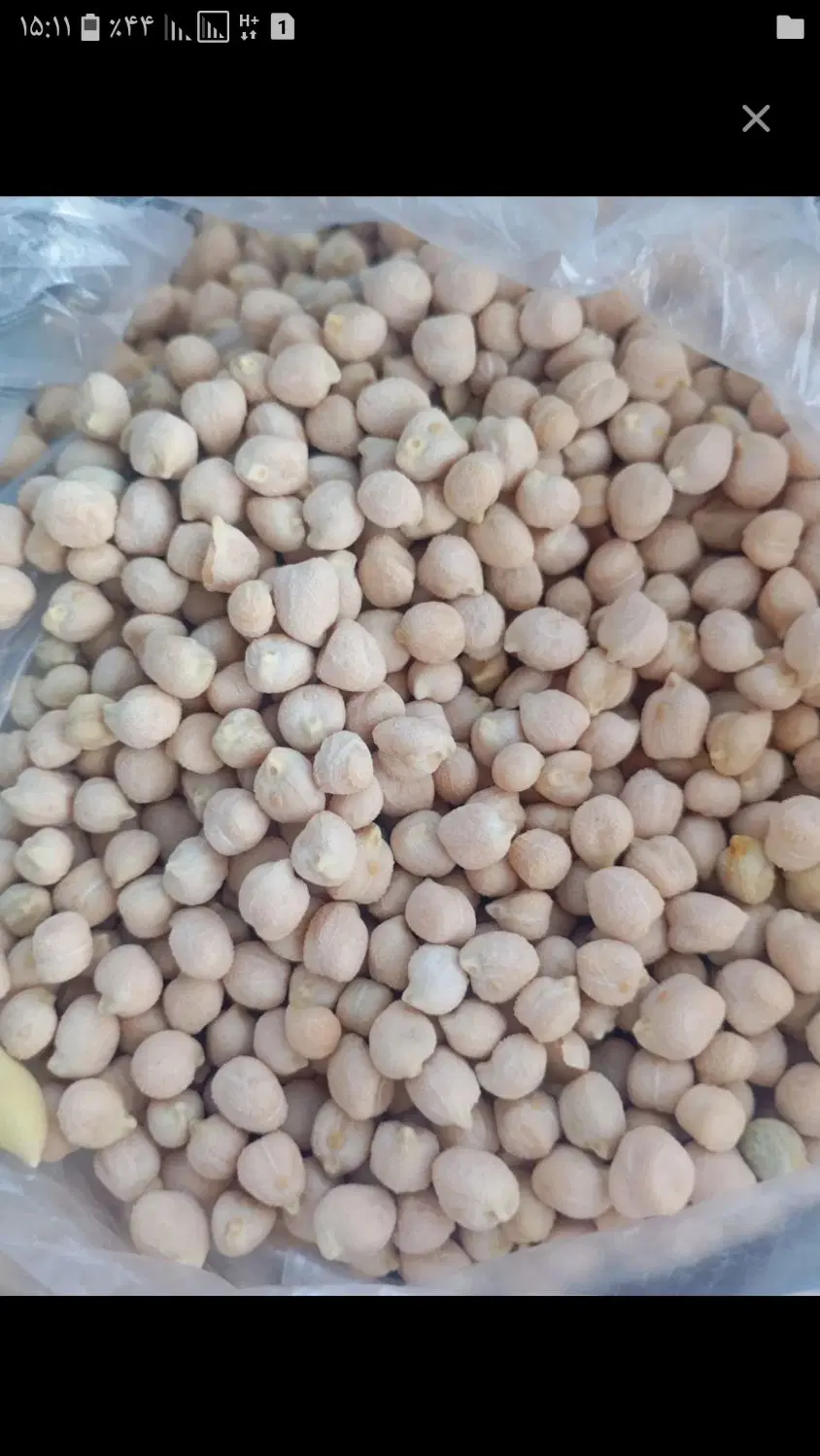 نخود|خوردنی و آشامیدنی|آباده, |دیوار
