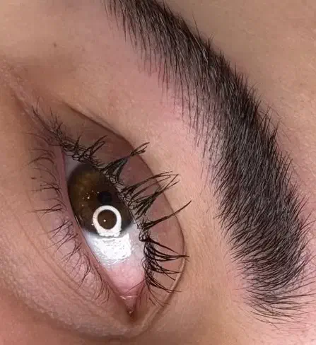 آموزش فیبروز۵۰ درصد تخفیف|خدمات آموزشی|اردبیل, |دیوار