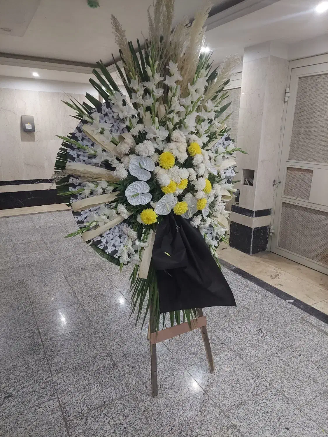 تاج گل|گل و گیاه طبیعی|تهران, باغ خزانه|دیوار