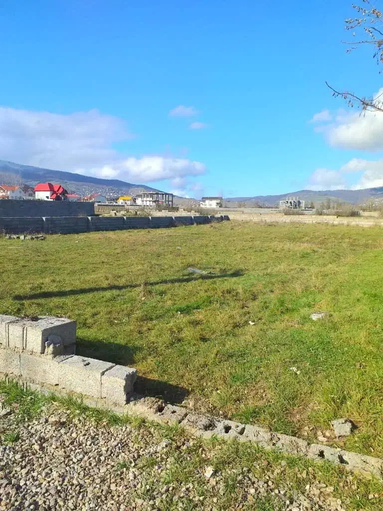 فروش زمین در کلاردشت /معاوضه با تهران|فروش زمین و ملک کلنگی|کلاردشت, |دیوار