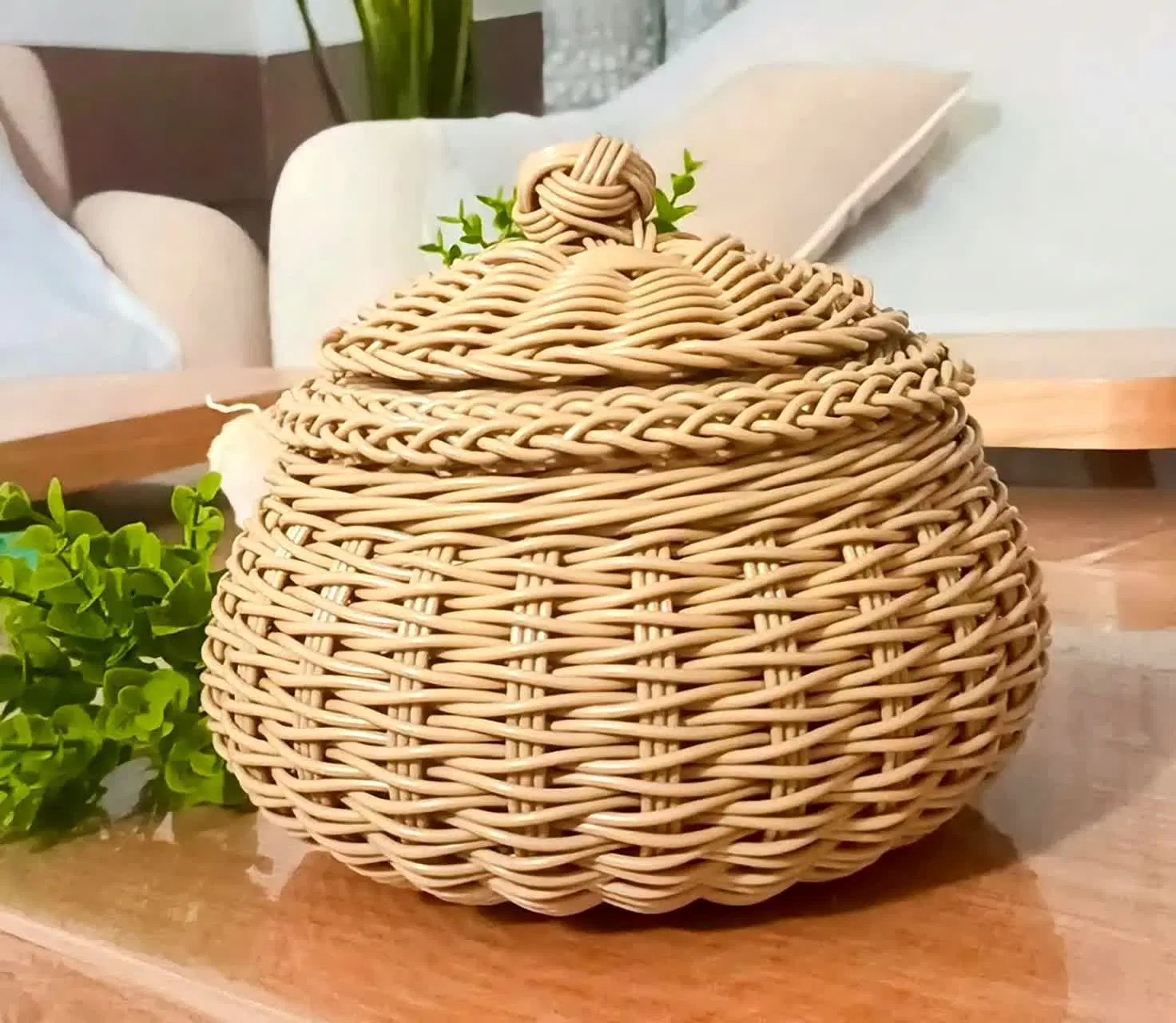 سبد حصیری|صنایع دستی و سایر لوازم تزئینی|شیراز, قلعه نو|دیوار